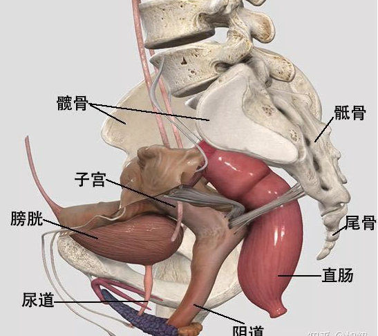 微信截圖_20220510165507.png
